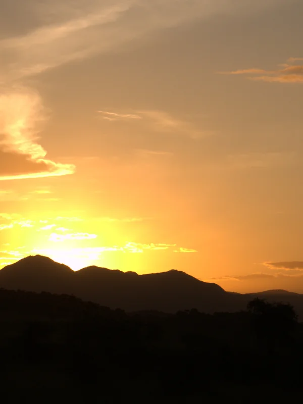 Golden savannah at sunset, Kidepo Valley National Park
