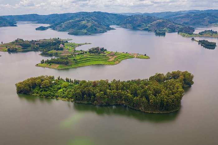 Rwanda Gorilla Trekking